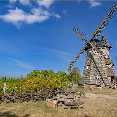 Martha 2 * 제바트헤링스도르프